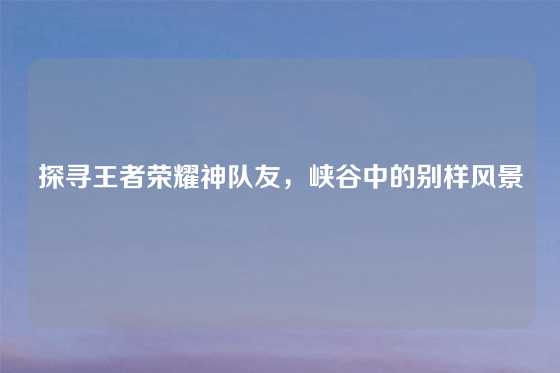 探寻王者荣耀神队友，峡谷中的别样风景