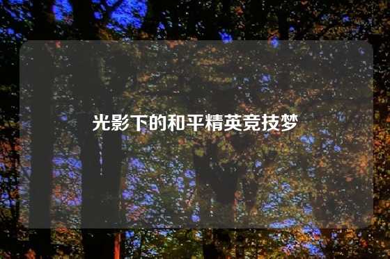 光影下的和平精英竞技梦