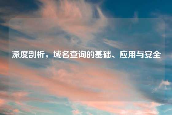 深度剖析，域名查询的基础、应用与安全