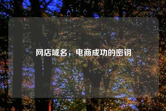 网店域名，电商成功的密钥