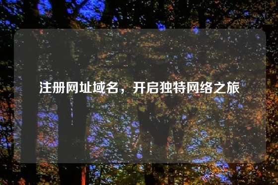 注册网址域名，开启独特网络之旅
