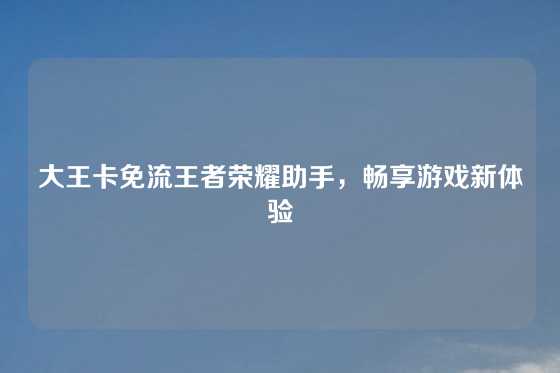 大王卡免流王者荣耀助手,畅享游戏新体验
