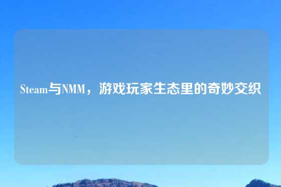 Steam与NMM，游戏玩家生态里的奇妙交织