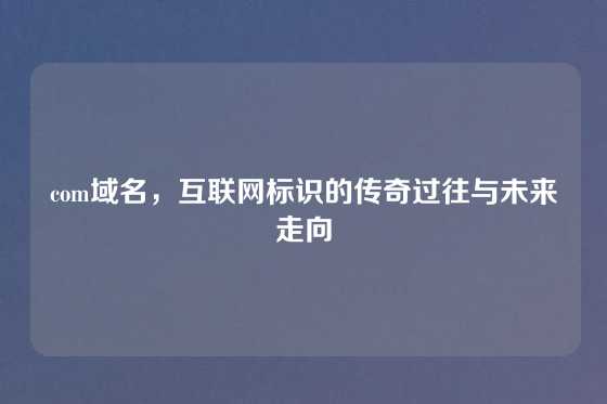 com域名，互联网标识的传奇过往与未来走向