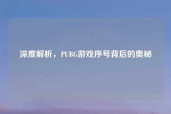 深度解析，PUBG游戏序号背后的奥秘