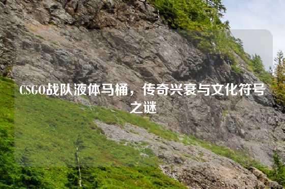 CSGO战队液体马桶，传奇兴衰与文化符号之谜