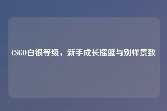 CSGO白银等级，新手成长摇篮与别样景致