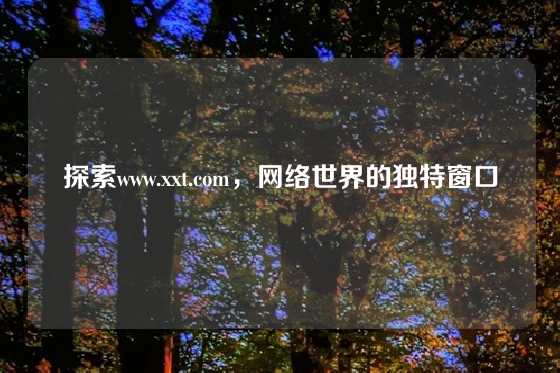 探索www.xxt.com，网络世界的独特窗口