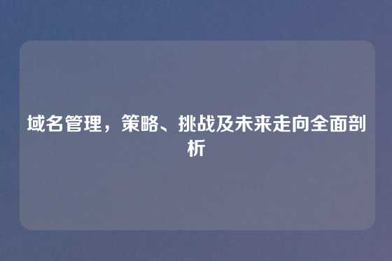 域名管理，策略、挑战及未来走向全面剖析