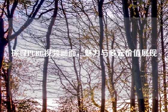 探寻PUBG视频画面，魅力与多元价值展现