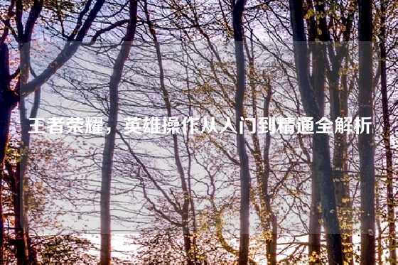 王者荣耀，英雄操作从入门到精通全解析