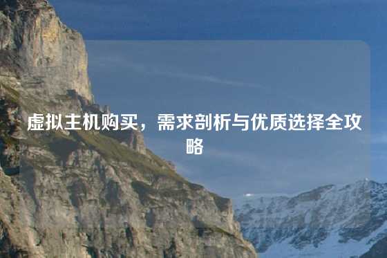 虚拟主机购买，需求剖析与优质选择全攻略