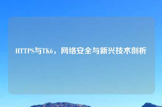 HTTPS与TK6，网络安全与新兴技术剖析