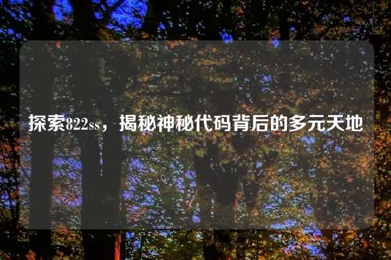 探索822ss，揭秘神秘代码背后的多元天地