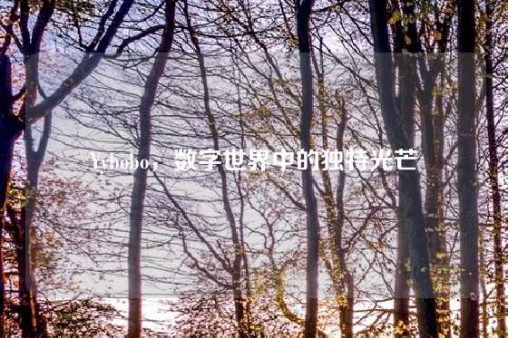 Yybobo，数字世界中的独特光芒