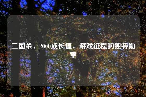 三国杀，2000成长值，游戏征程的独特勋章