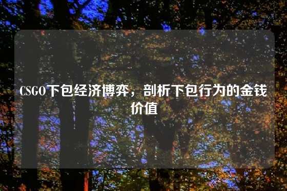 CSGO下包经济博弈，剖析下包行为的金钱价值