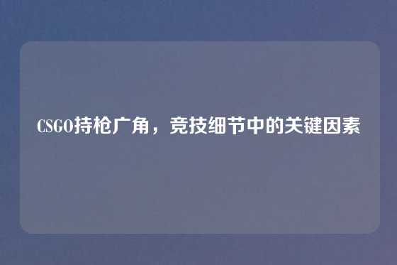 CSGO持枪广角,竞技细节中的关键因素