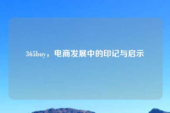 365buy,电商发展中的印记与启示