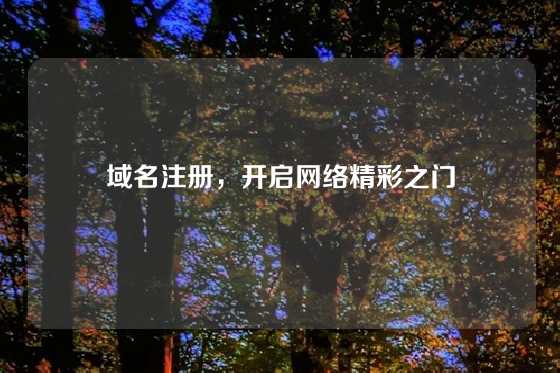 域名注册，开启网络精彩之门
