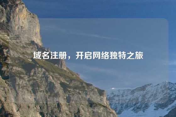 域名注册，开启网络独特之旅