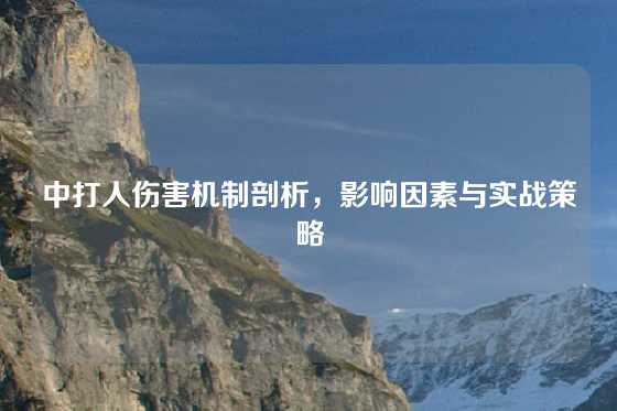 中打人伤害机制剖析，影响因素与实战策略