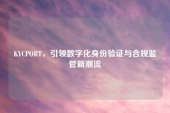 KYCPORT,引领数字化身份验证与合规监管新潮流