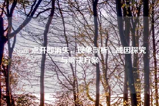 Steam 点开即消失，现象剖析、成因探究与解决方案