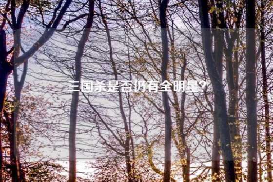 三国杀是否仍有全明星？