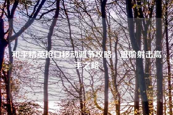 和平精英枪口移动调节攻略,进阶射击高手之路