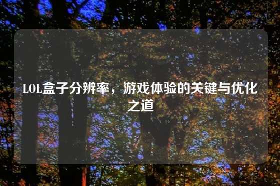 LOL盒子分辨率，游戏体验的关键与优化之道
