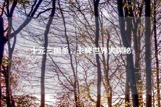 十元三国杀，卡牌世界大探秘