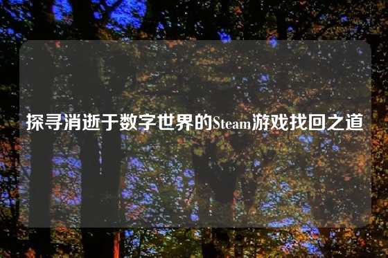 探寻消逝于数字世界的Steam游戏找回之道