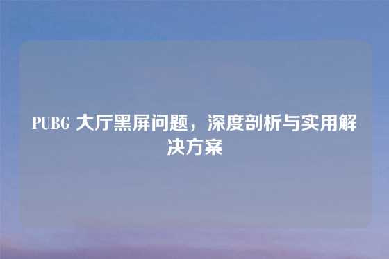 PUBG 大厅黑屏问题，深度剖析与实用解决方案