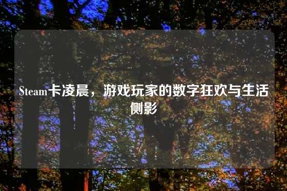 Steam卡凌晨，游戏玩家的数字狂欢与生活侧影