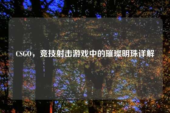 CSGO，竞技射击游戏中的璀璨明珠详解
