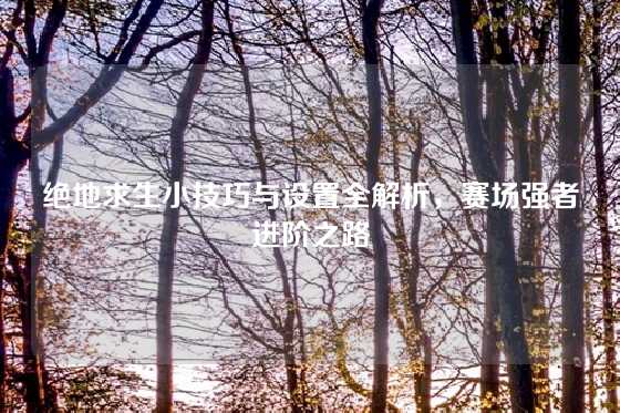 绝地求生小技巧与设置全解析，赛场强者进阶之路