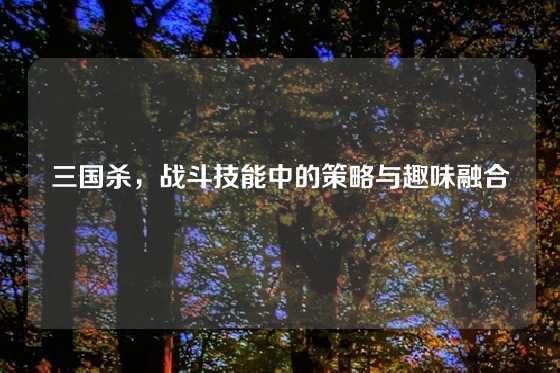 三国杀，战斗技能中的策略与趣味融合