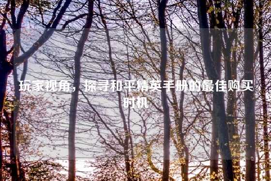 玩家视角,探寻和平精英手册的最佳购买时机