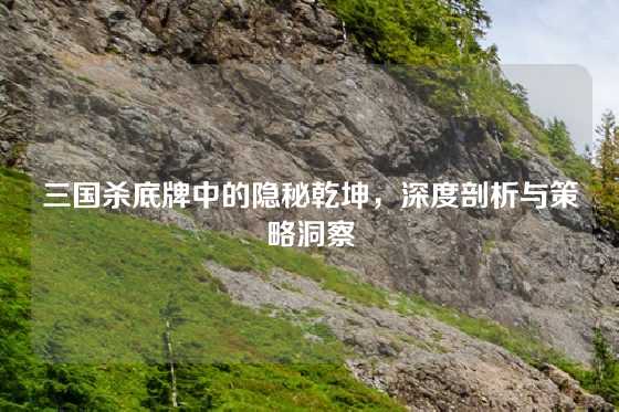 三国杀底牌中的隐秘乾坤，深度剖析与策略洞察