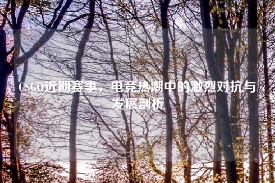 CSGO近期赛事，电竞热潮中的激烈对抗与发展剖析