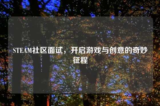 STEAM社区面试,开启游戏与创意的奇妙征程