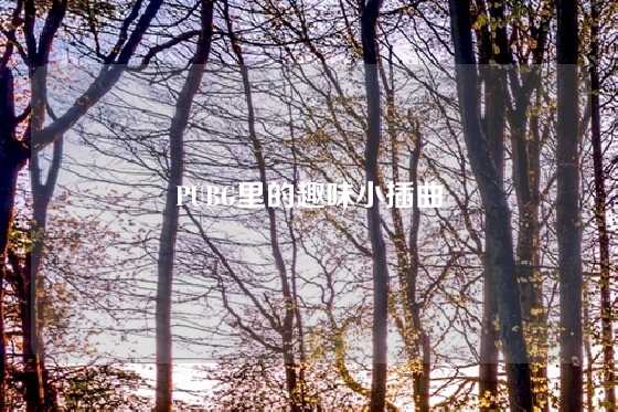 PUBG里的趣味小插曲