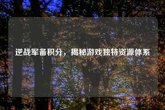 逆战军备积分，揭秘游戏独特资源体系