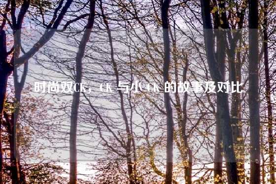 时尚双CK，CK 与小 CK 的故事及对比