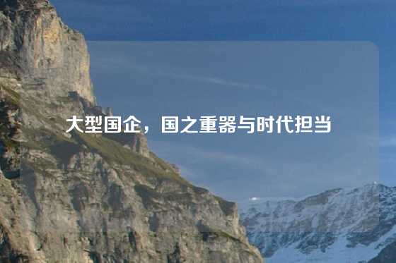 大型国企，国之重器与时代担当