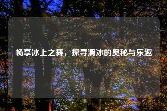 畅享冰上之舞，探寻滑冰的奥秘与乐趣