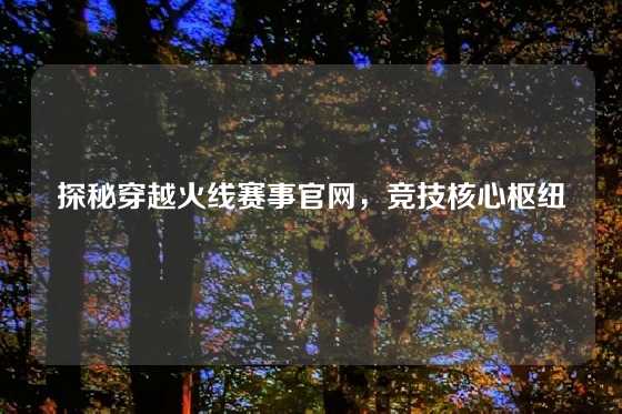 探秘穿越火线赛事官网，竞技核心枢纽