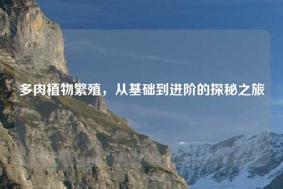 多肉植物繁殖，从基础到进阶的探秘之旅