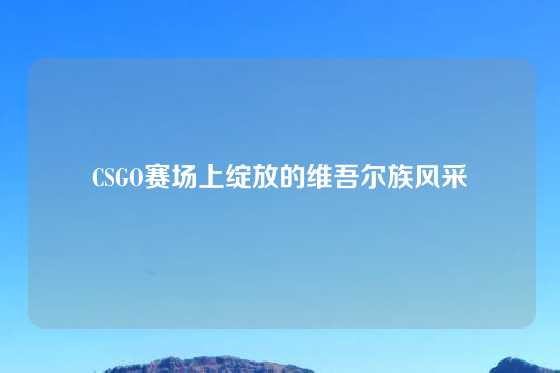 CSGO赛场上绽放的维吾尔族风采